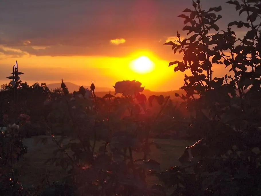 Κατάλυμα σε φάρμα Agriturismo Giulia Castelfiorentino